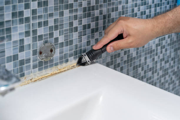 Best Certified Mold Removal  in Hollins, VA
