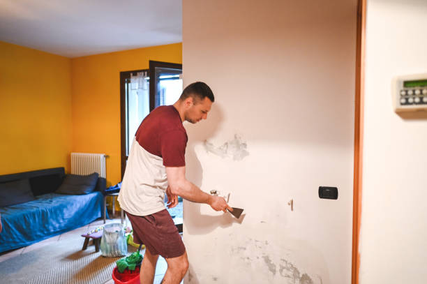 Best Mold Cleaning Services  in Hollins, VA